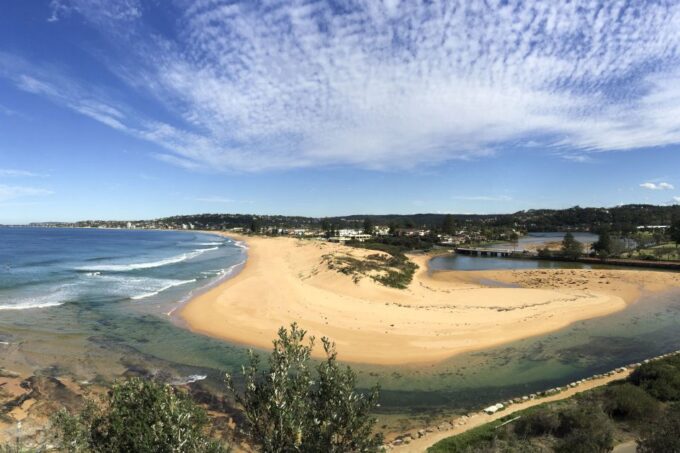 Sydney: Northern Beaches and Ku-ring-gai National Park Tour - National Park Exploration
