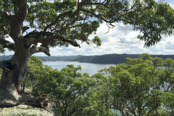 Sydney: Northern Beaches and Ku-ring-gai National Park Tour - Coastal Sightseeing