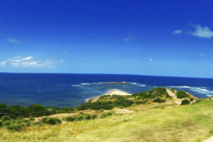 Sydney: Northern Beaches and Ku-ring-gai National Park Tour - Frequently Asked Questions
