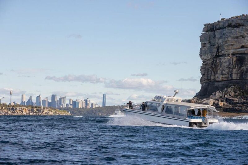 Sydney: Ocean Whale Watching Experience - Booking Information