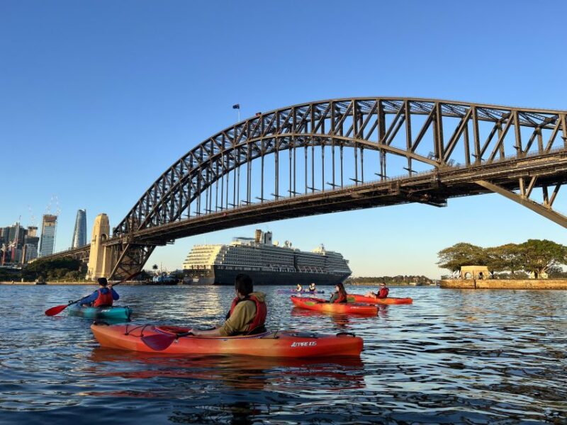 Sydney: Opera House and Harbour Guided Kayak Tour - Kayak Details