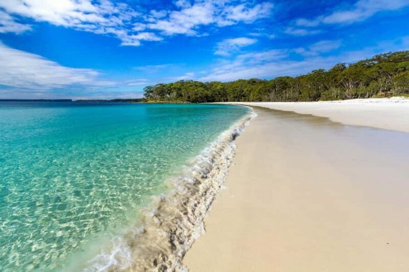 Sydney: Port Stephens Day Trip with Dolphin Cruise or Hike - Who Should Consider This Tour?