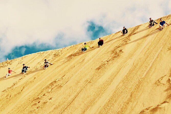 Sydney: Port Stephens Sandboarding, Dunes & Dolphin Cruise option - An In-Depth Look at the Tour