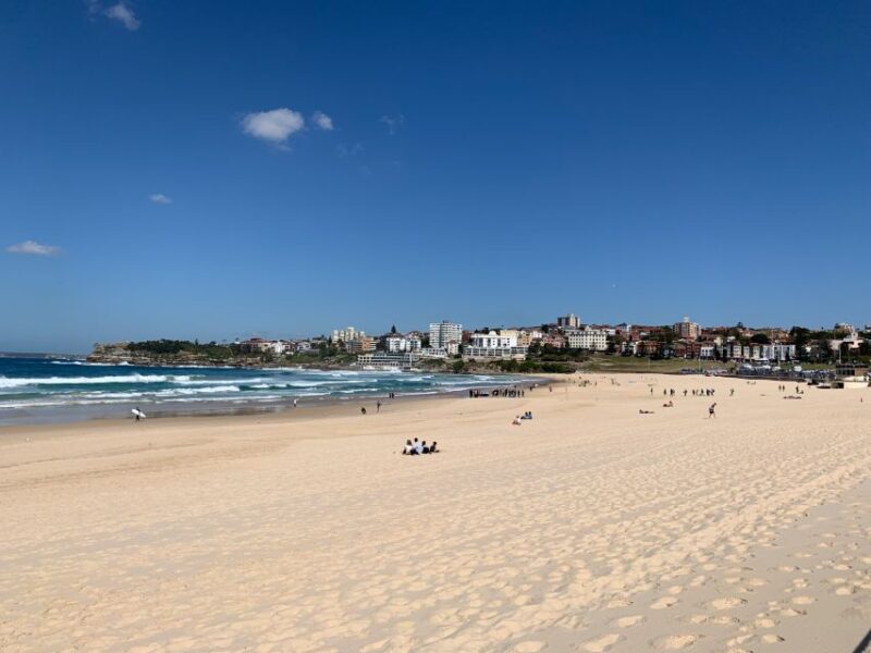 Sydney: Private Half or Full-Day Sightseeing Tour - Optional Additions