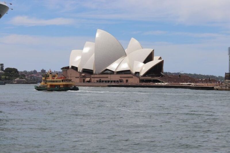Sydney: Private Sydney City and Australian Wildlife Tour - Featherdale Wildlife Park