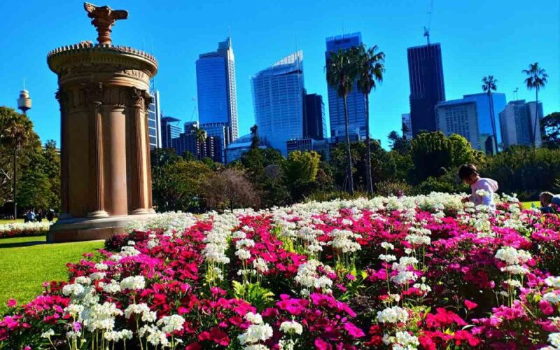 Sydney: Private Sydney City and Australian Wildlife Tour - Tour Options