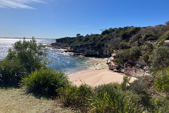 Sydney Private Tour Inc The Royal National Park and Symbio Zoo - Hiking in Royal National Park