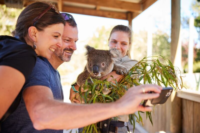 Sydney: Private Wildlife, Waterfalls and Wine Tour - Key Points