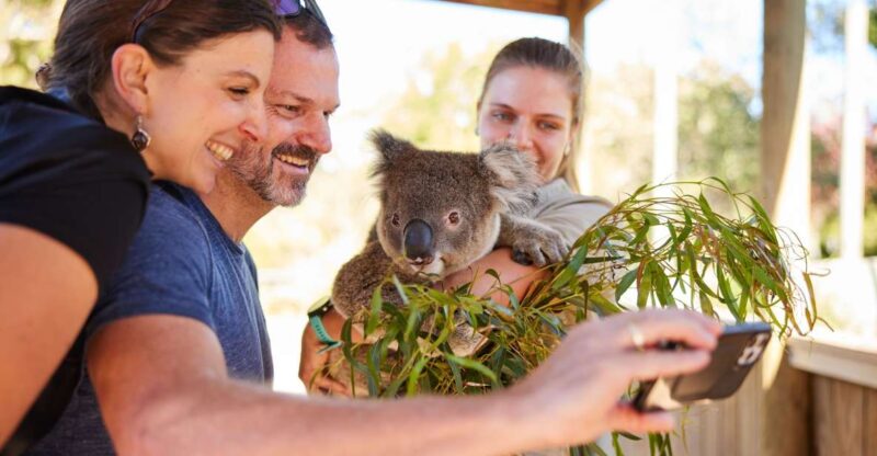 Sydney: Private Wildlife, Waterfalls and Wine Tour - Bald Hill Lookout