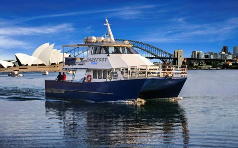 Sydney: Scenic Whale Watching Cruise - Whales Guaranteed - Price and Value