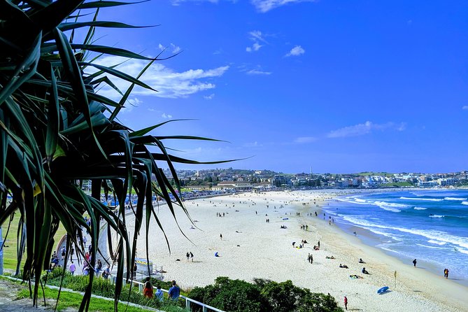 Sydney Secrets and Bondi Beach 4 HOUR AFTERNOON PRIVATE TOUR - Meeting and Pickup Details