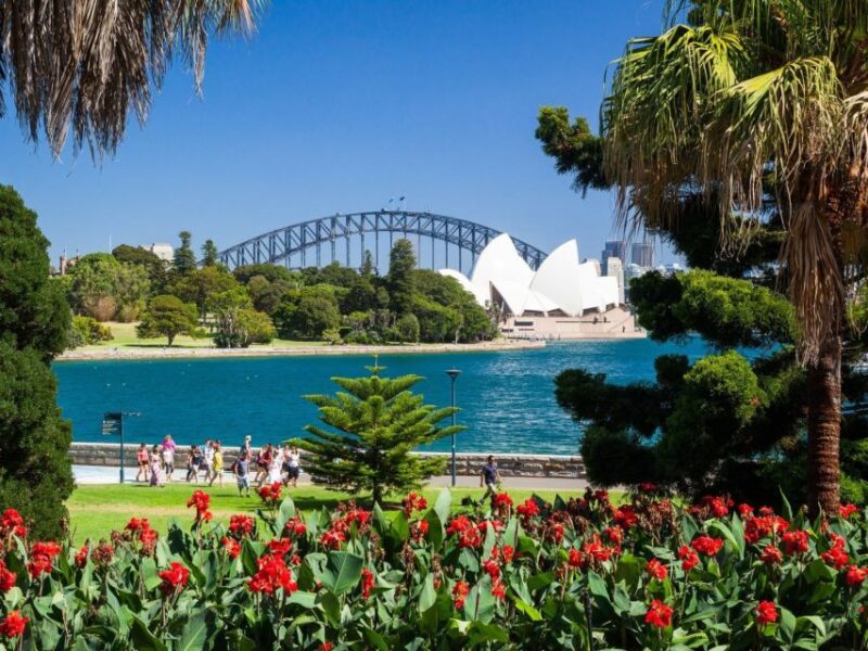 Sydney: See Sydney in Style Guided Private Day Tour - Aboriginal Cultural Insights