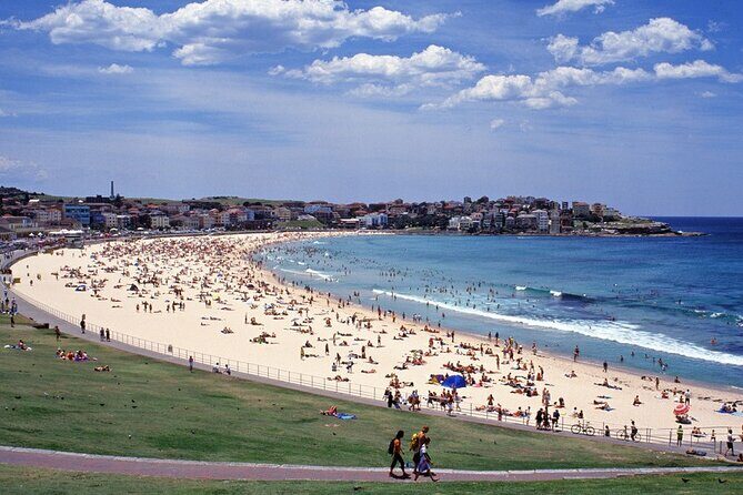 Sydney Shore Excursion: Half-Day Sydney City Highlights with Bondi Beach and Watsons Bay - What to Expect from This Sydney Shore Excursion