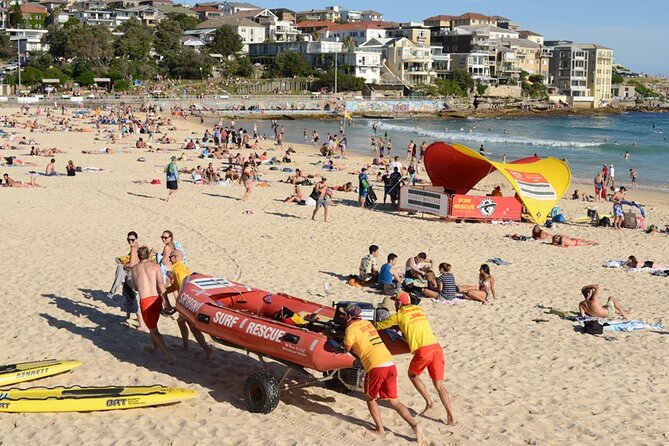 Sydney Sightseeing Guided Bus Tour - Comfortable and Convenient Transport