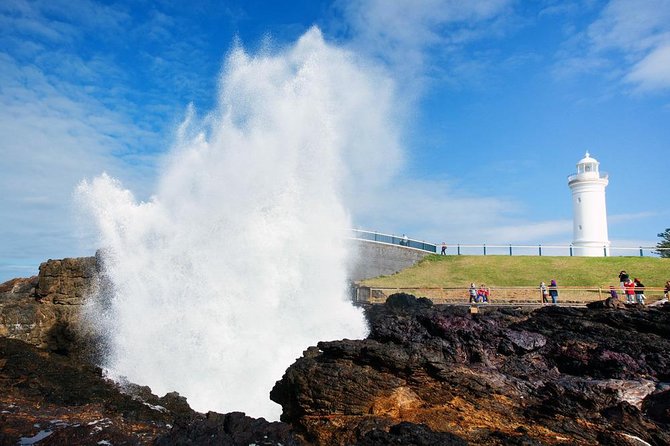 Sydney South Coast to Country Private Tour | Grand Pacific Drive - Accessibility and Cancellation