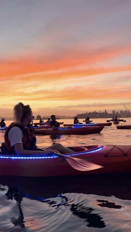 Sydney: Sunrise Kayak, Opera House & Under Harbour Bridge - Who Will Love This Tour?