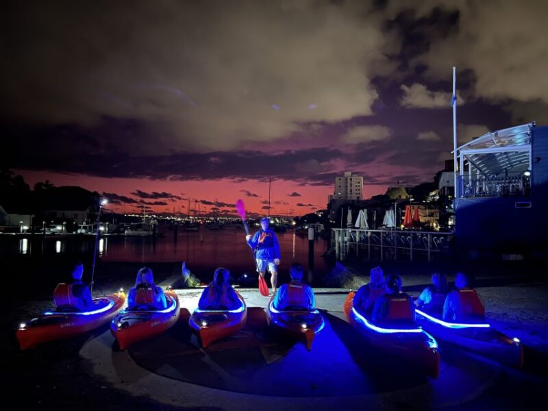 Sydney: Sunrise Kayak Tour on Sydney Harbour - Inclusions