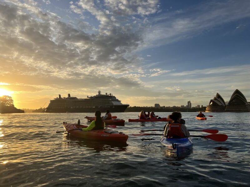 Sydney: Sunrise Kayak Tour on Sydney Harbour - Customized Experience