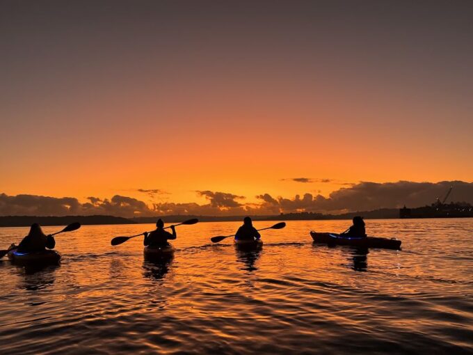 Sydney: Sunrise Kayak Tour on Sydney Harbour - Frequently Asked Questions
