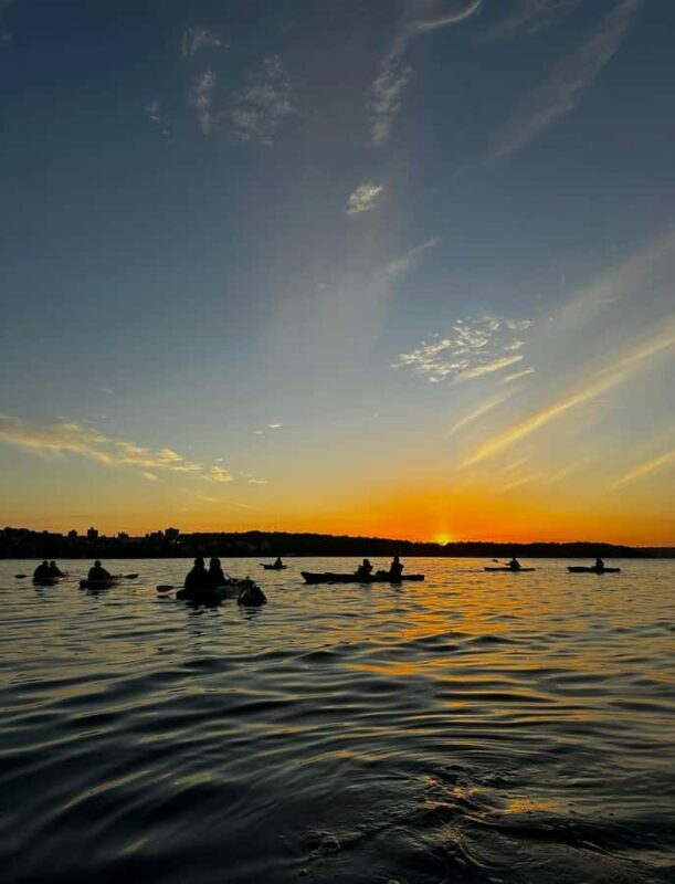 Sydney: Sunset Kayak Tour with Opera House Views - What Makes This Tour Special