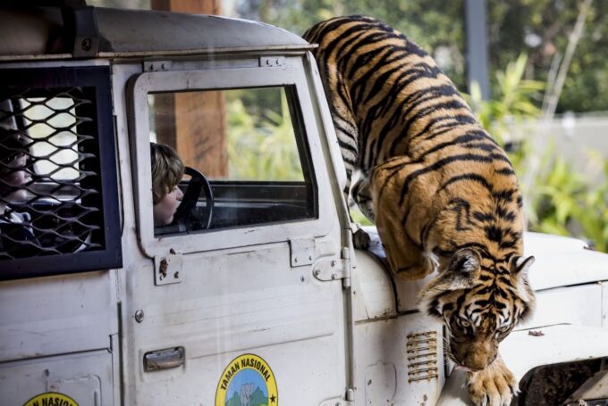 Sydney: Taronga Zoo & 24 or 48hr Sydney Harbour Hopper Pass - Flexible Ticket Policies