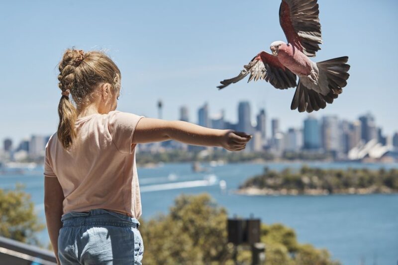 Sydney: Taronga Zoo Ticket With Return Ferry - Important Information