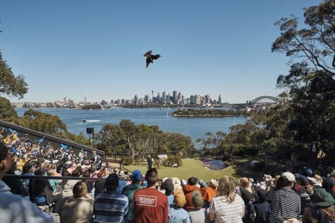 Sydney: Taronga Zoo Ticket With Return Ferry - Wheelchair Accessibility