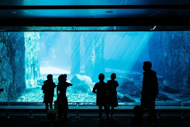 Sydney Taronga Zoo Wild Australia Experience - The Sum Up