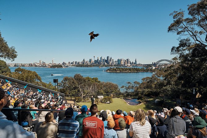 Sydney Taronga Zoos Aussie Backyard Adventure Tour - What to Expect During the Tour