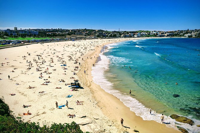 Sydney, The Rocks, Watsons Bay, Bondi Beach FULL DAY PRIVATE TOUR - Reviews and Feedback
