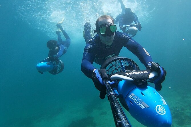 Sydney Underwater Scooter Tours - Itinerary