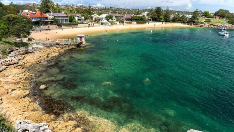 Sydney: Watsons Bay Walking Tour - South Head: Whale Watching and History