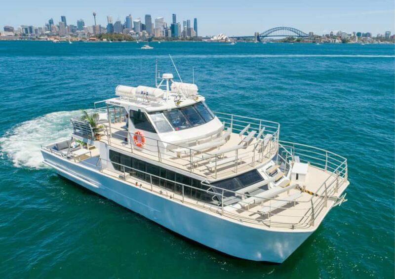 Sydney: Whale Watching Adventure Cruise - Key Points