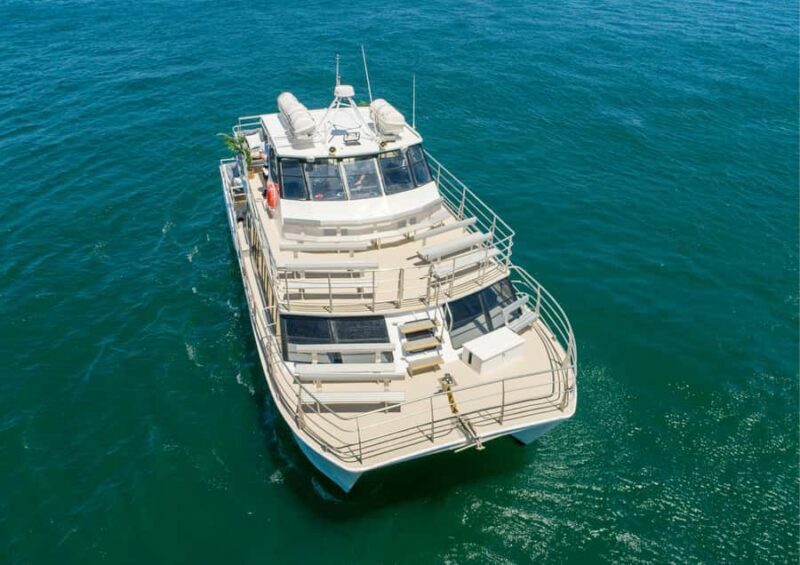 Sydney: Whale Watching Adventure Cruise - The Value of This Whale Watching Tour