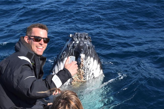 Sydney Whale-Watching by Speed Boat - Age and Accessibility Restrictions