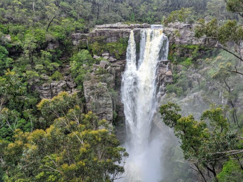 Sydney: Wild Wombats and Kangaroo Experience - Transportation and Amenities