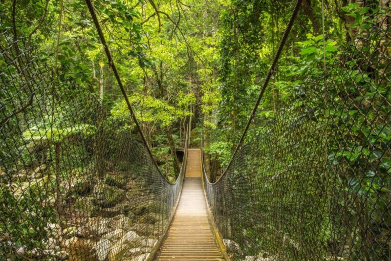 Sydney: Wild Wombats and Kangaroo Experience - Breathtaking South Coast Views
