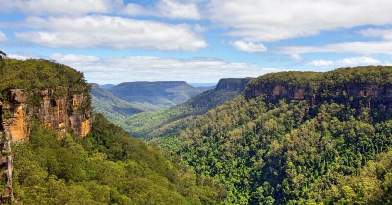 Sydney: Wildlife, Waterfalls and Wine Small Group Tour - Practical Details