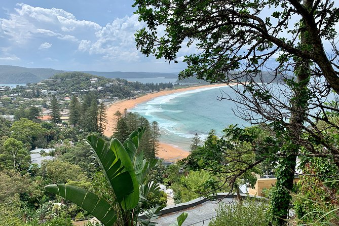 Sydneys Northern Beaches & Ku-Ring-Gai National Park Small Tour Departing Manly - Exploring Northern Beaches