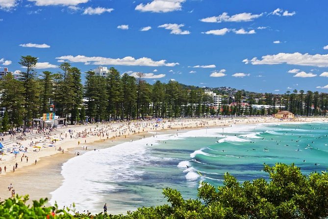 Sydneys Northern Beaches Private Day Tour | Including a River Boat Cruise - Iconic Sights and Experiences