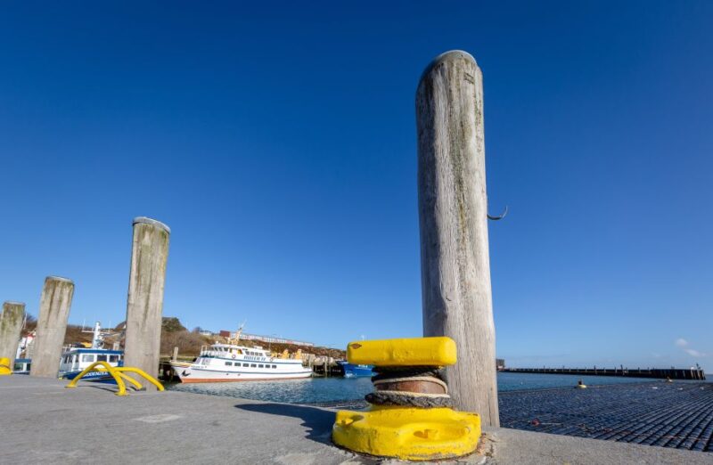 Sylt: Guided Island Tour by Bus With Sylt Highlights - Highlights of the Tour