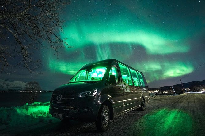 Symphony - Arctic Breeze, Teamining up With Nature. - Flexible Booking and Cancellation