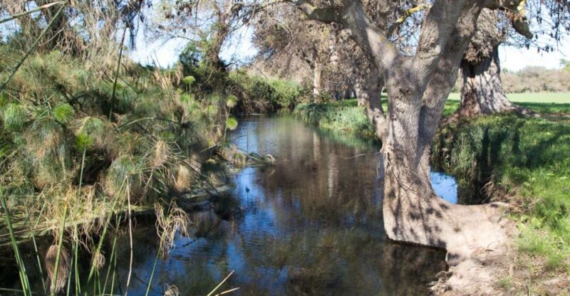 Syracuse: Ciane River Nature Reserve Guided Trek - Guided Experience