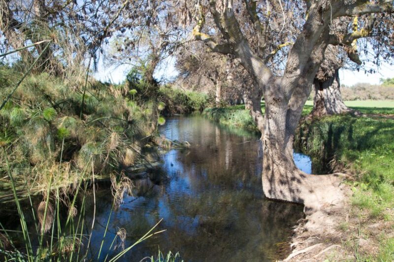 Syracuse: Ciane River Nature Reserve Guided Trek - Booking Details