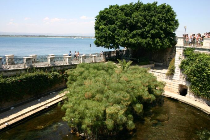 Syracuse: Ortigia Private Walking Tour - Languages and Accessibility