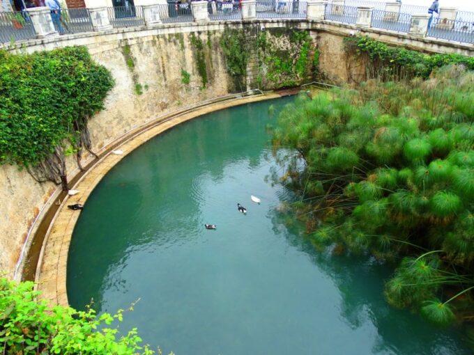 Syracuse: Ortygia & Neapolis Archaeological Park Guided Tour - Frequently Asked Questions