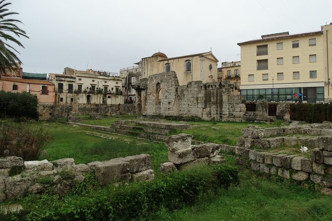 Syracuse: Ortygia & Neapolis Archaeological Park Guided Tour - Highlights of Civita