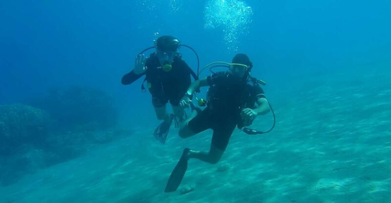 Syracuse : Scuba Diving for Beginners in the Plemmirio Area - Key Points