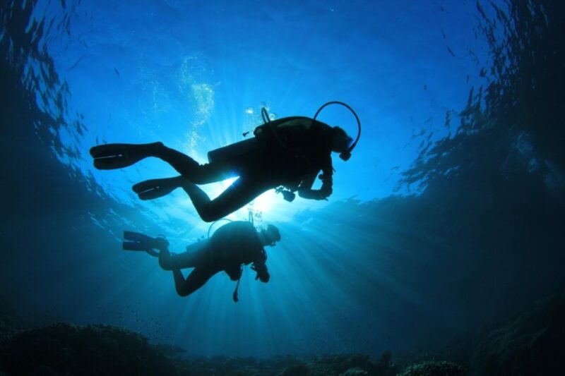 Syracuse : Scuba Diving for Beginners in the Plemmirio Area - Experience Highlights