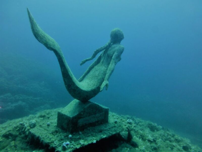 Syracuse : Scuba Diving for Beginners in the Plemmirio Area - Explore the Reserve